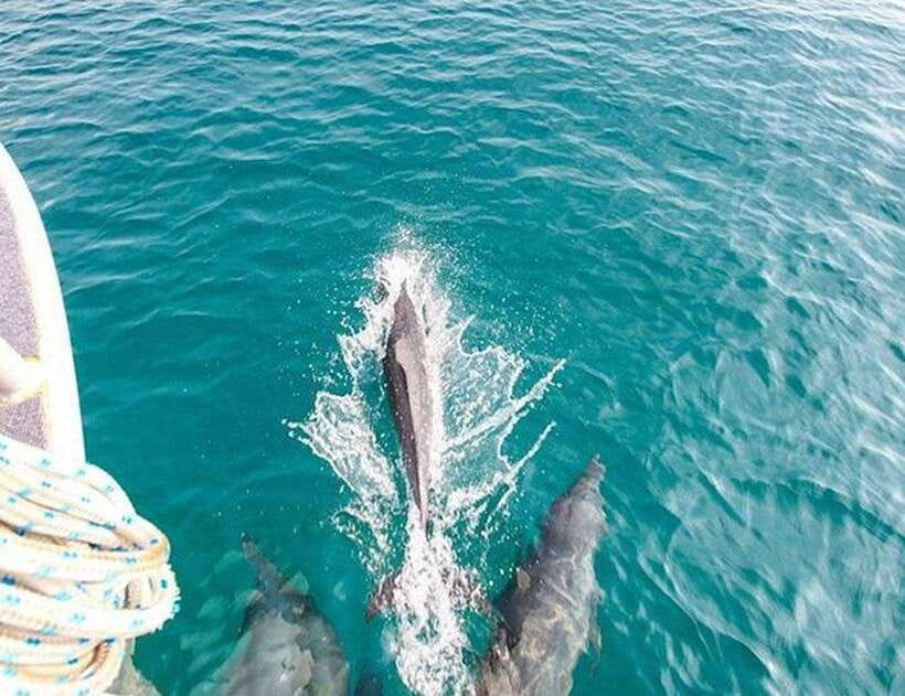 Phuket: Private Speed Boat to Maiton and Khai Islands - Highlights of the Tour