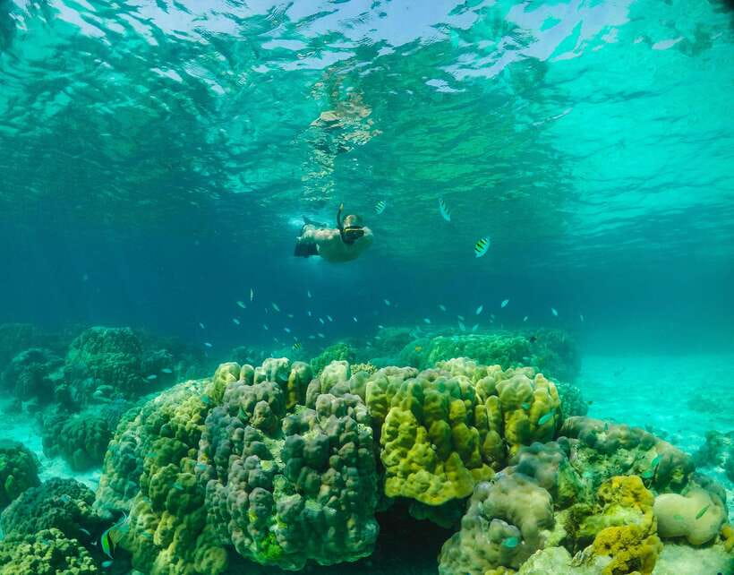 Phuket: RAYA YAI - PADI Open Water Diver Course - Duration and Certification