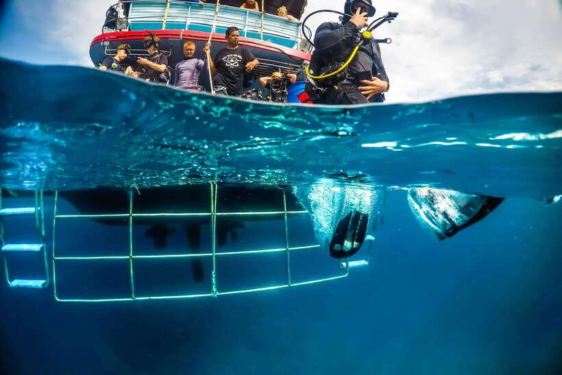 Phuket: RAYA YAI - Try Scuba Diving Without Experience - Pricing and Reservation