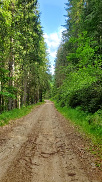 Pick-up from Cluj: e-Mountain Bike Tour Lake Dragan - Why This Tour Offers Real Value