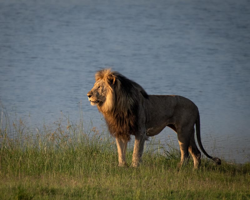 Pilanesberg Explorer (Day Tour) - FAQ