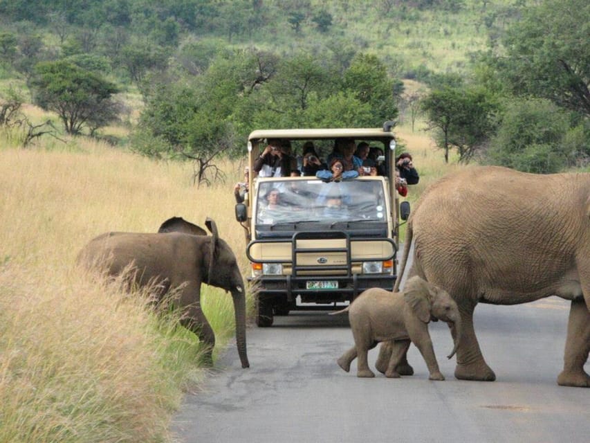 Pilanesberg National Park: 6H Game Drive with Lunch - Why This Tour Is a Great Value