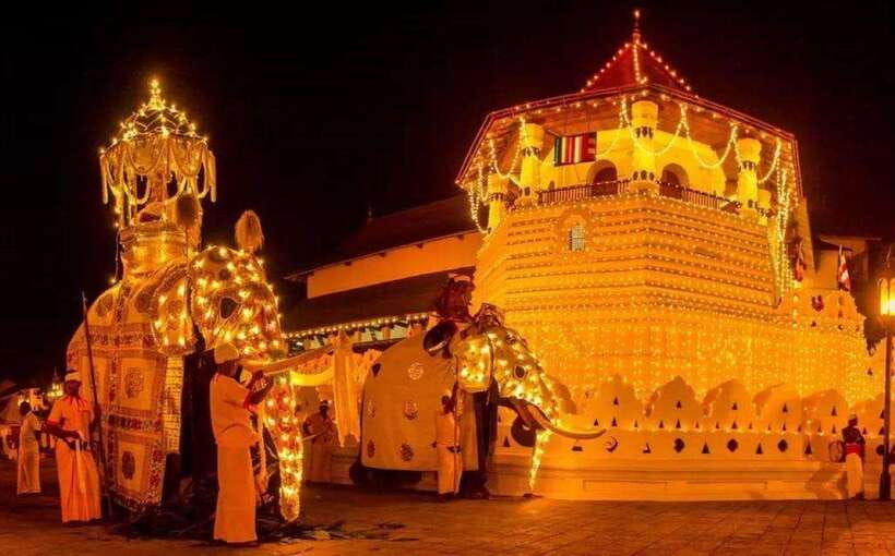 Pinnawala,Kandy Day Tour from Colombo/Negombo - What You Should Know About the Experience