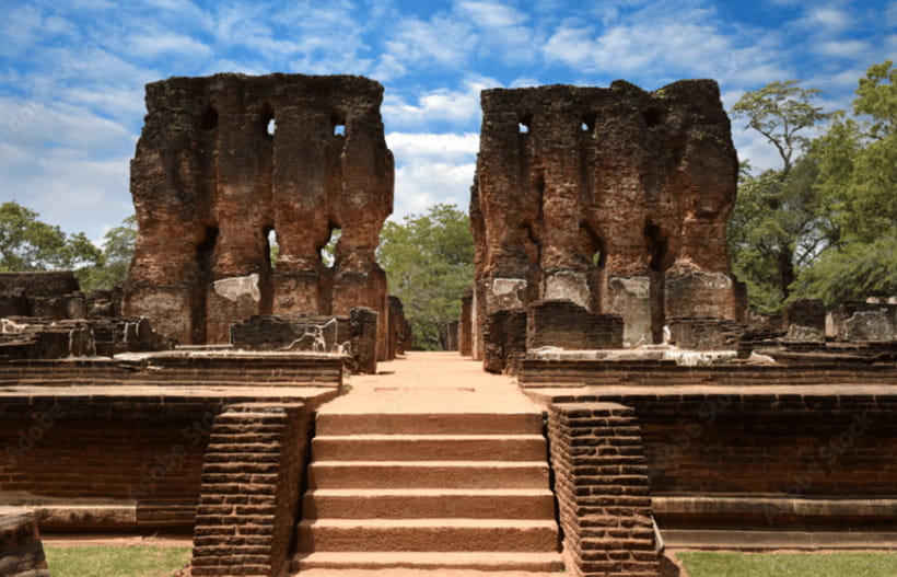 Polonnaruwa Ancient City and Wildlife Safari from Dambulla - Practical Details: What You Need to Know