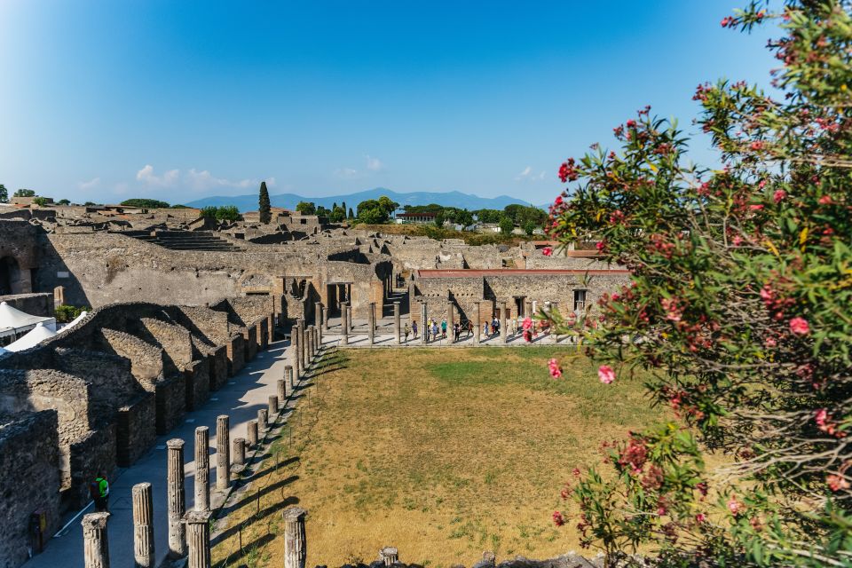 Pompeii: Archaeological Park Tour With Ticket on Request - Booking Information