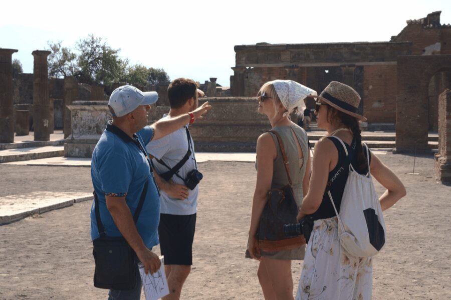 Pompeii: Guided Day Trip to Ruins and 2 Wineries Visits - Who Will Love This Tour?