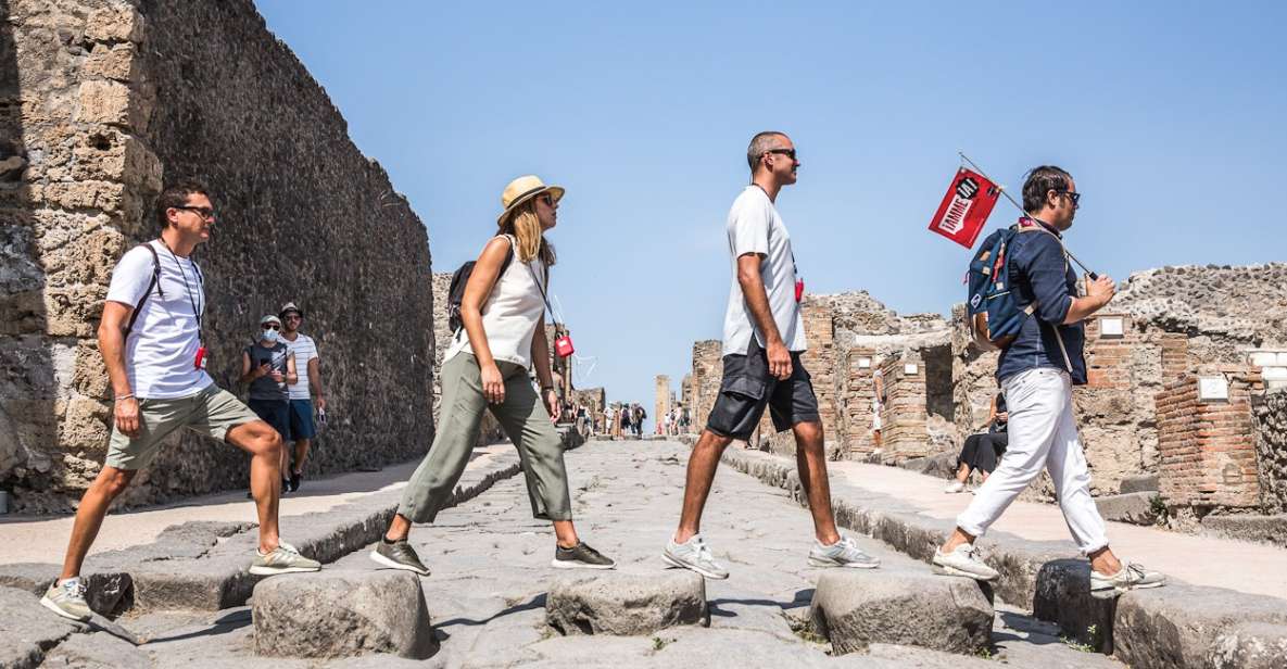 Pompeii: Guided Walking Tour With Skip-The-Line Ticket - Pricing and Reservation
