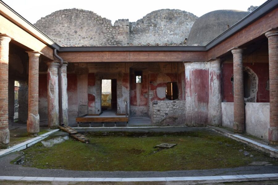 Pompeii Private Guided Tour with Lunch - The Value of the Entrance Ticket and Skip-the-Line Access