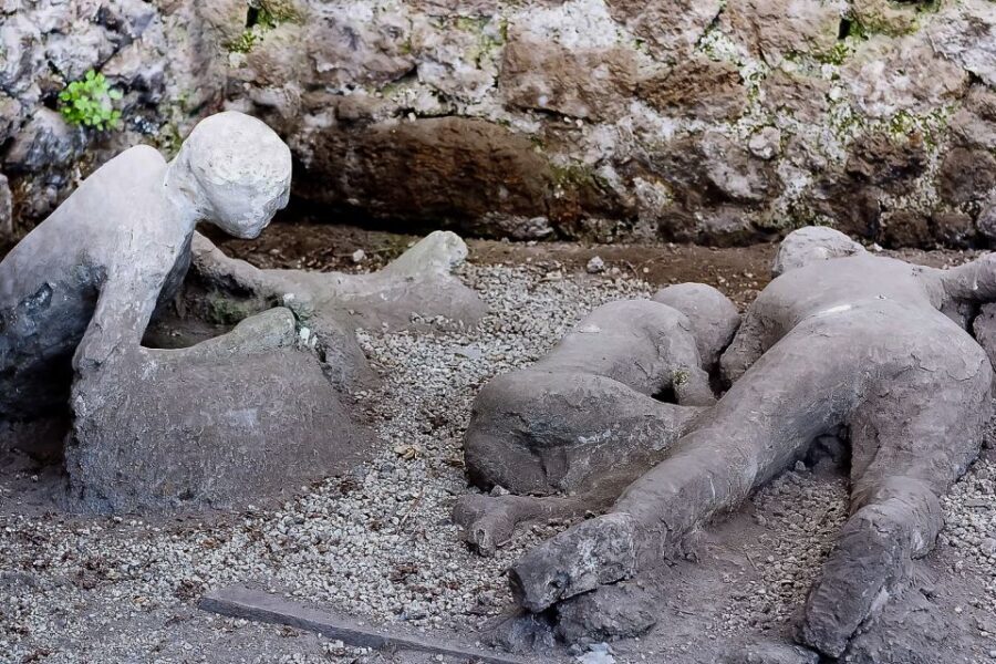 Pompeii Ruins Private Tour with Optional Skip-the-Line Entry - The Highlights and Why They Matter