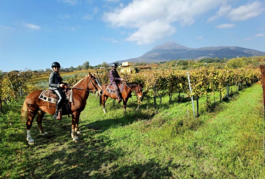 Pompeii: Ruins Tour and Mount Vesuvius Horseback Ride - An In-Depth Look at the Tour Experience