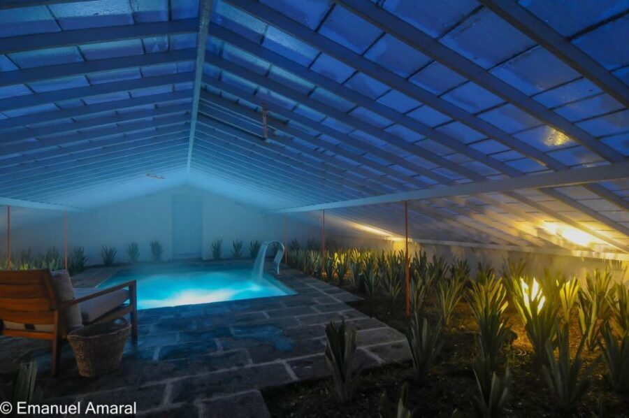 Ponta Delgada: Greenhouse Hot Tube with Pineapple Tour - An In-Depth Look at the Experience