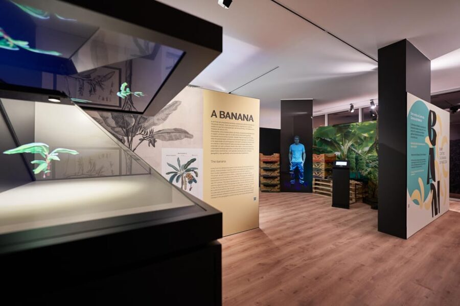 Ponta Do Sol : Madeira Banana Museum guided tour - Why the Tour Shines