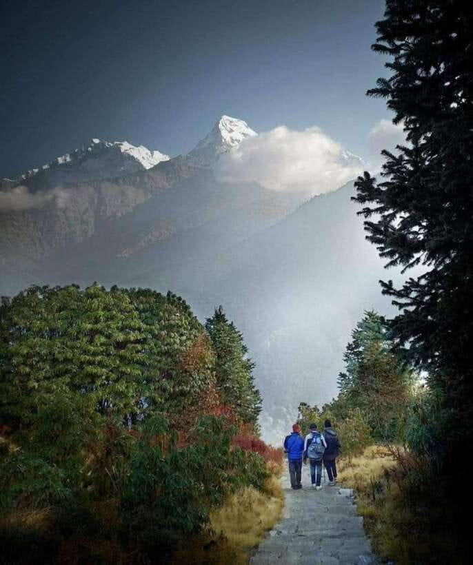Poon-Hill and Ghandruk Trek- 7 Days - The Itinerary: A Day-by-Day Breakdown