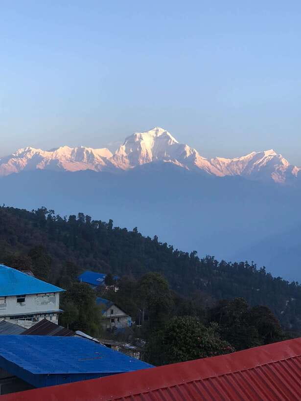 Poon hill Trek 1 Night 2 Days - What to Expect from This Trek