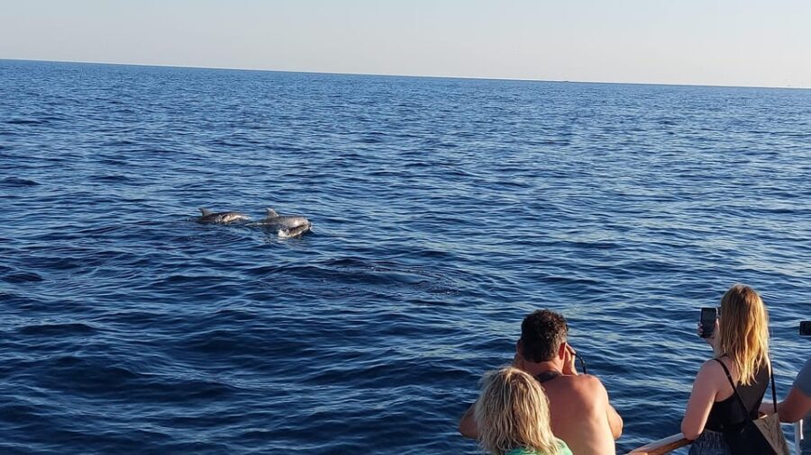 Pore: Sunset Dolphin Safari with Dinner and Drinks - Analyzing Value and Experience