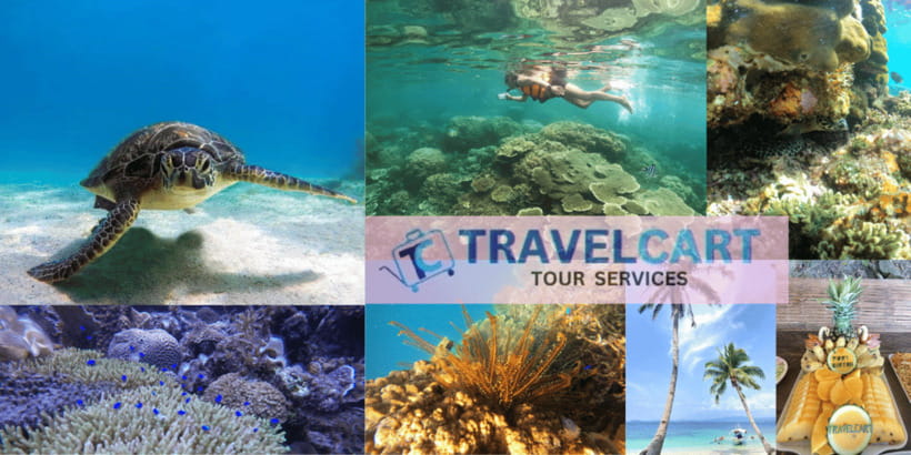 PORT BARTON: Full-day Shared Island Hopping Tour A - The Group Experience and Guides