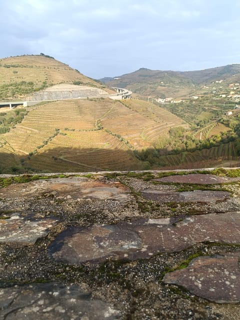 Porto: Douro valley 2 farms with wine tasting and lunch - What to Expect