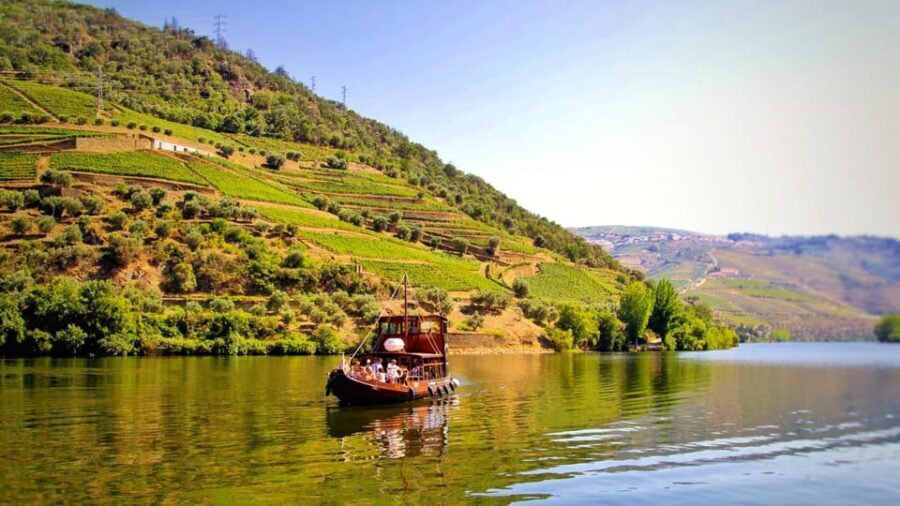 Porto: Douro Valley Tour at 2 Wineries with Lunch and Cruise - Who Will Love This Tour?