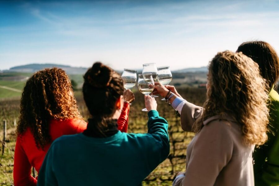 Porto: Douro Valley Tour with 2 Wineries, Lunch and Cruise - The Itinerary: A Deep Dive