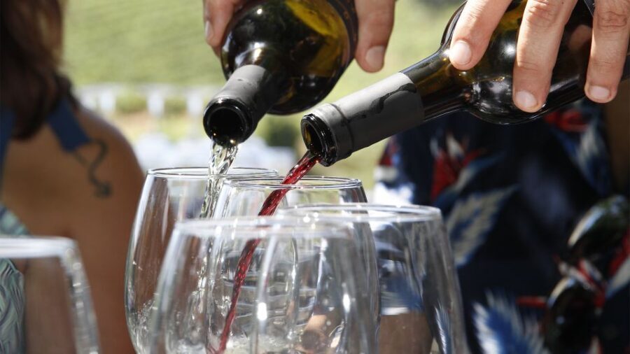 Porto: Douro Valley Tour with 3 vineyards and lunch. - Who Will Love This Tour?