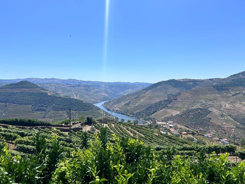 Porto: Douro Valley Tour with 3 Wineries and Lunch - Who Will Enjoy This Tour?