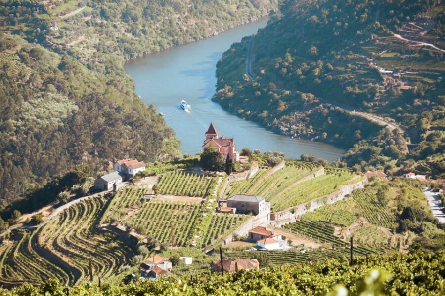 Porto: Douro Valley Tour with Wine Tasting, Cruise and Lunch - Why This Tour Offers Great Value