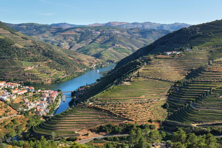 Porto: Douro Valley Wine Tour with a Sommelier & Boat Trip - What to Expect from the Experience