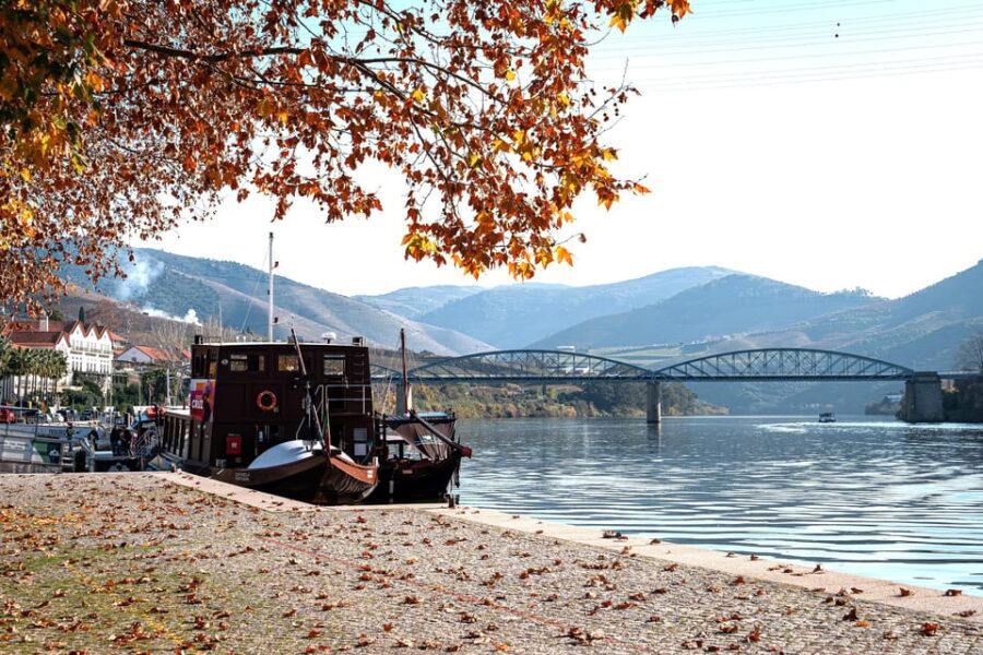 Porto: Douro Wine Tour with Lunch and River Cruise - Practical Details and What They Mean for You