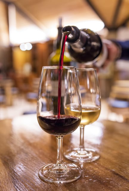 Porto Full Day Tour with Wine Tasting and Cruise - What To Expect: The Real Deal