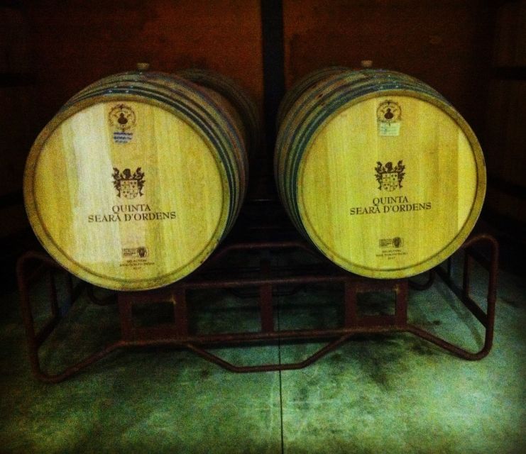 Porto: Half-Day Small Group City Tour with port wine tasting - Who Will Love This Tour?