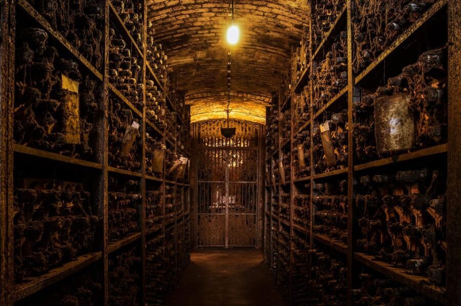 Porto: Premium Tour at Real Companhia Velha - The Tasting Experience