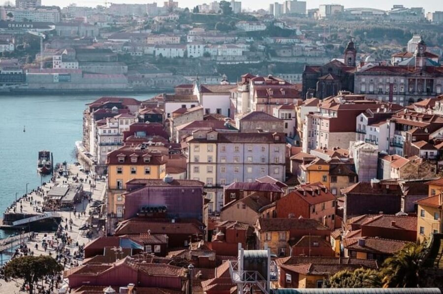 Porto : Private Custom Tour with a Local Guide - Who Will Love This Tour?