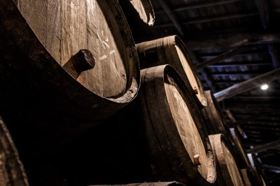 Porto: Taylors Port Cellar Tour & WOW Wine Experience - Detailed Breakdown of the Itinerary