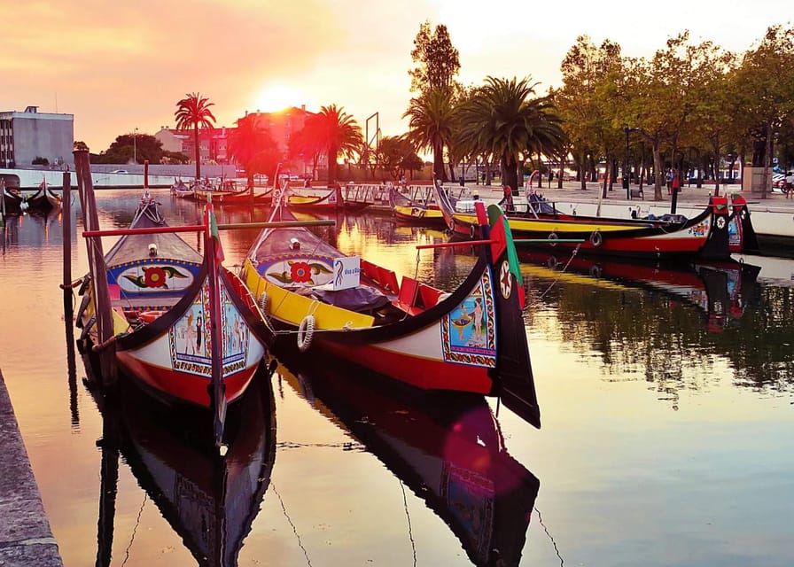 Porto to Lisbon with Aveiro-Coimbra-Fátima-Nazaré-Óbidos - Why This Tour Feels Different from a Standard Transfer