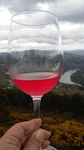 Porto: Wine Tasting Class with 4 Wines in Portus Wine - Authentic Feedback and What Travelers Say