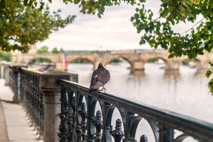 Prague Grand 2,5 hour + 2 hour exterior walking tour - Key Points