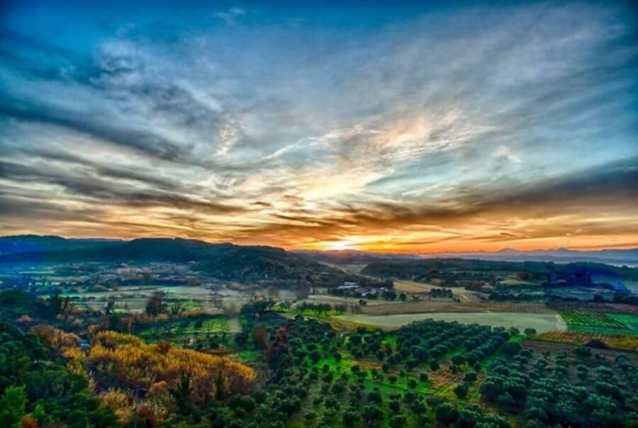 Premium Tour of Olympia: Wine & Dine Retreat - Who Will Love This Tour?