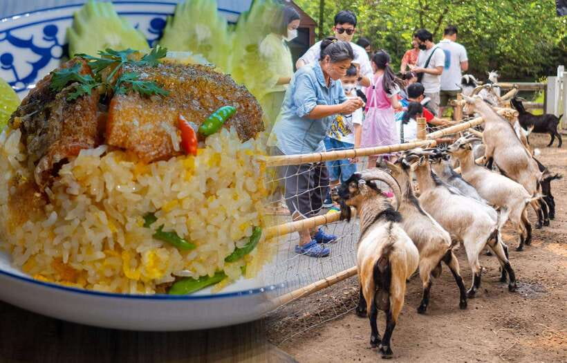 Private 3 IG Cafe + Don Wai Floating Market: From Bangkok - Itinerary Details