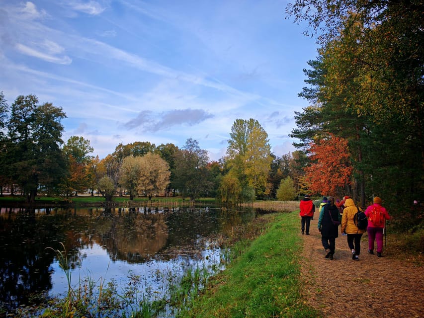 Private Forest Mind Tour in Tampere - What to Expect on the Forest Mind Tour