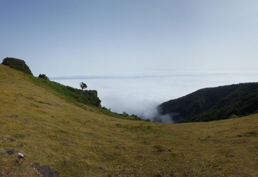 Private Full-Day Tour of North Coast and Laurissilva Forest - A Closer Look at the Itinerary and Experience