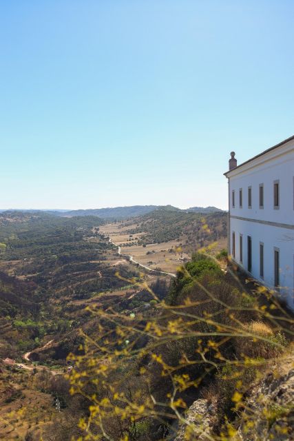 Private Full Day Tour Setubal - What Makes This Tour Stand Out