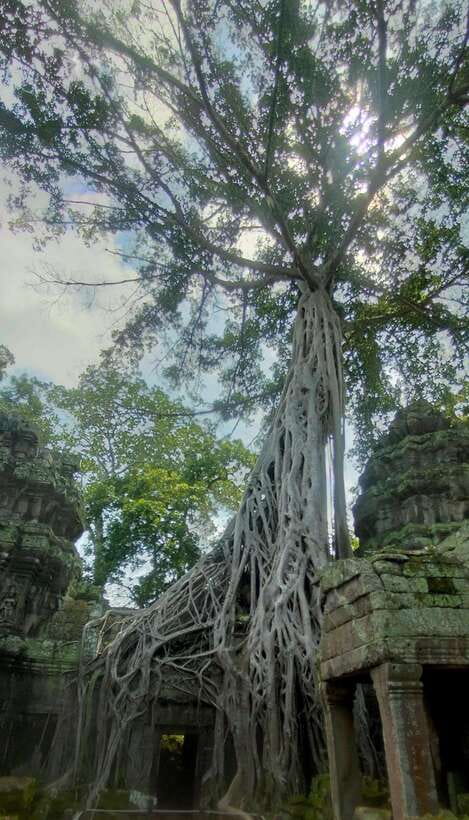 Private Guided Tours From Angkor Wat Sunrise To Banteay Srei - Deep Dive into Each Stop