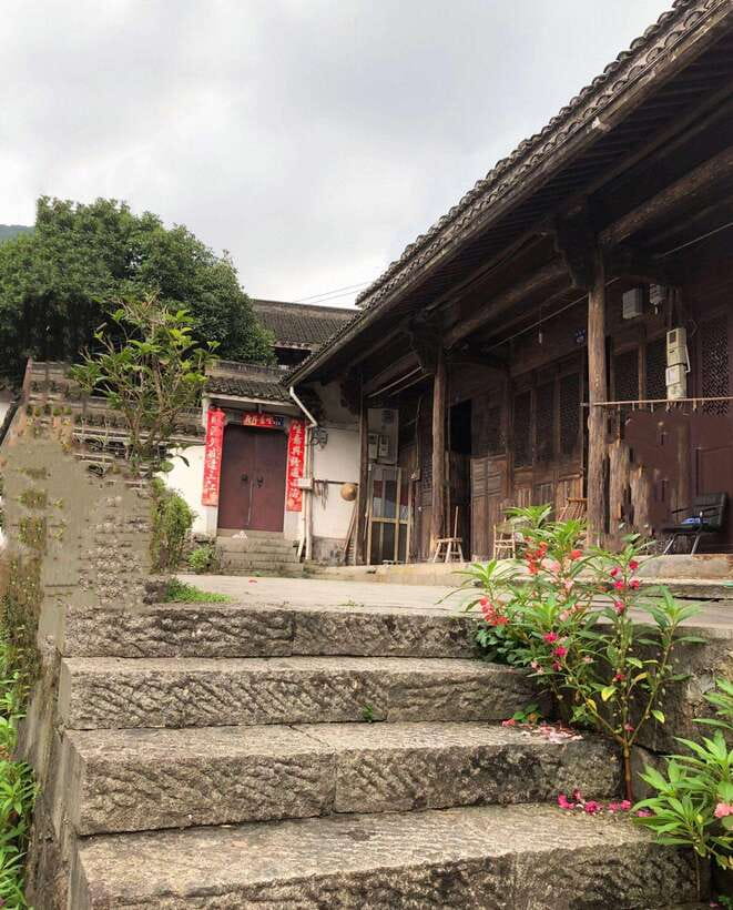 Private Hangzhou Tea Cultural Day Tour - What Makes This Tour Stand Out