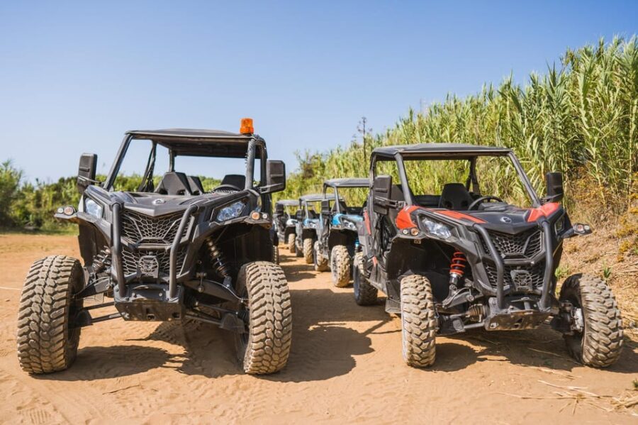 Private Korcula Buggy Safari With Wine Tasting - In Summary: Who Will Love This Tour?