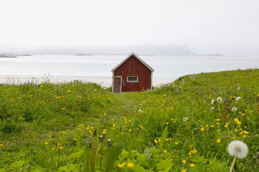 Private Lofoten Islands Tour (from Leknes) - Who Should Consider This Tour?