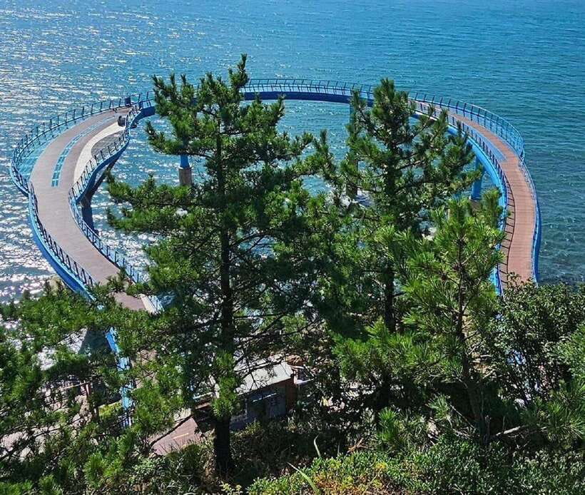 Private Minibus Tour in Busan for Cruise Guests 8-17 People - A Detailed Look at the Busan Private Minibus Tour