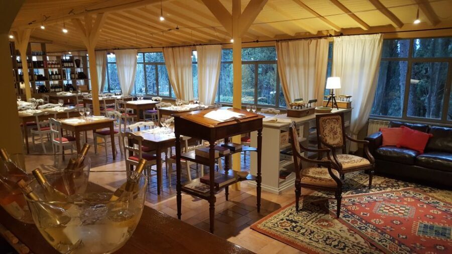 Private Tour and Wine Tasting at Castle Wineries in Chianti - What Makes This Tour Stand Out