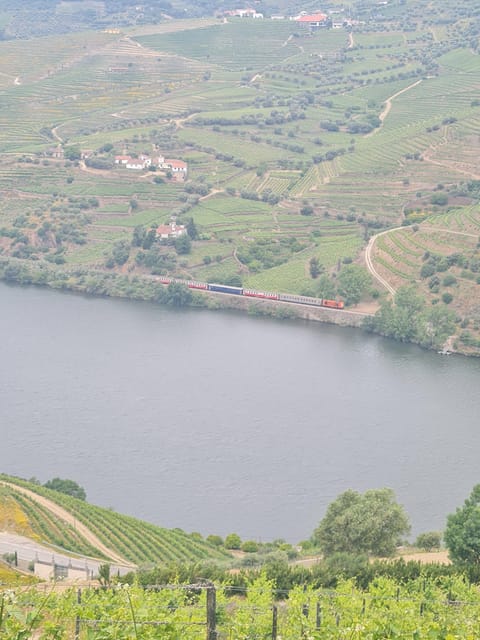 Private tours and transport amazing for you at DOURO Valley - Final Thoughts: Is This Tour Worth It?