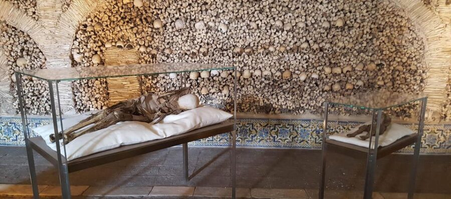 Private Unforgetable Full Day Tour in Évora - Who Would Enjoy This Tour?