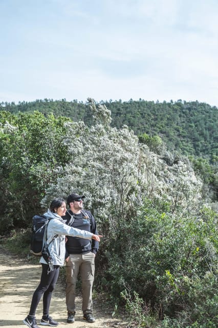 Punta Baffe: hiking immersed in the Mediterranean bush overlooking the sea - Is this experience right for you?